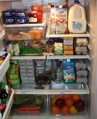 Illustration for article titled One Hundred Years of the Fridge